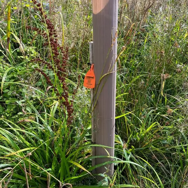 Vigilis-bio tree shelter with tag in malvern
