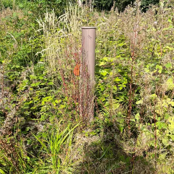 A vigilis-bio biodegradable tree shelter in malvern