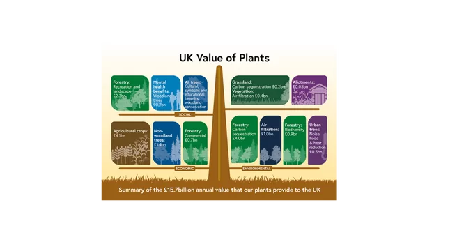 https://cms.vigilistreeshelters.com/app/uploads/2023/01/Value-of-Plants-3.png