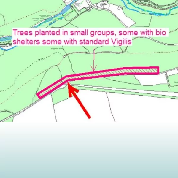Map of tree planting locations