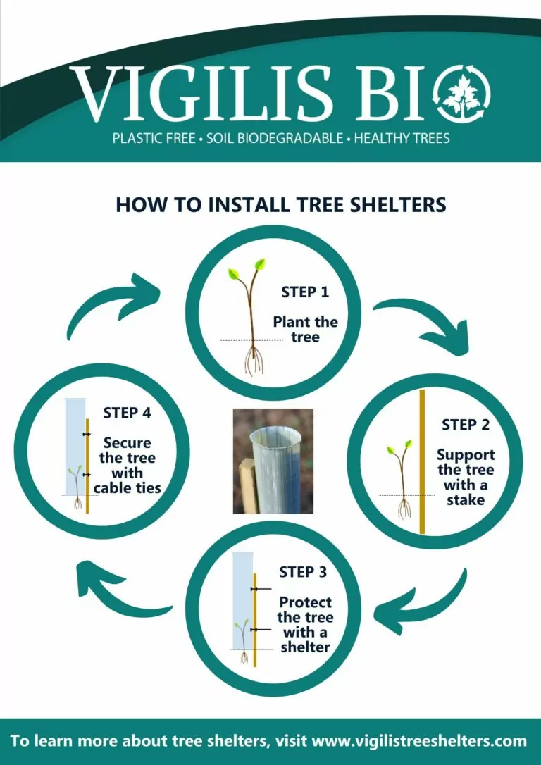 diagram explaining how to plant a tree