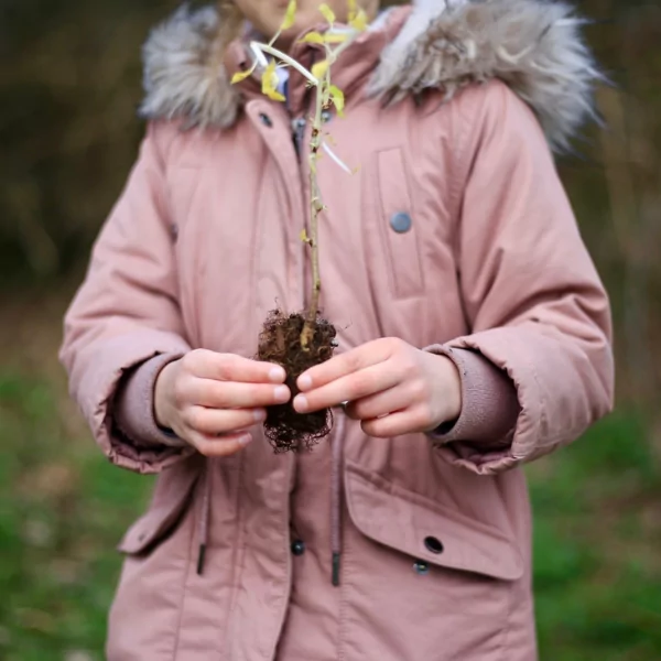 https://cms.vigilistreeshelters.com/app/uploads/2023/03/Finchingfield-School-children-planting-trees-1.png