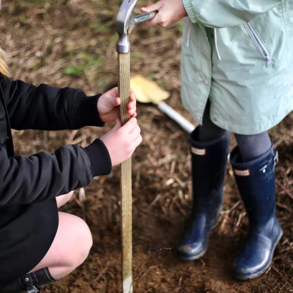 two children hammering a tree stake into the ground to secure a tree shelter in place