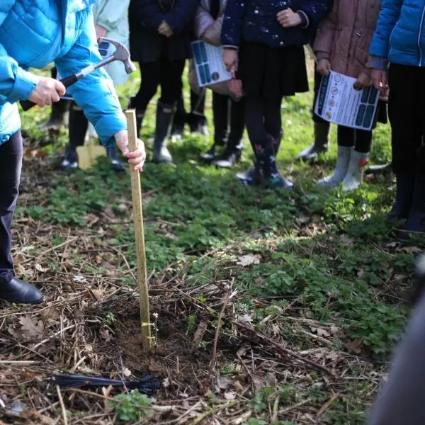 a teacher showing children how to plant trees