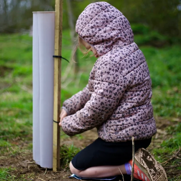 a child planting a tree and fixing the tree shelter in place