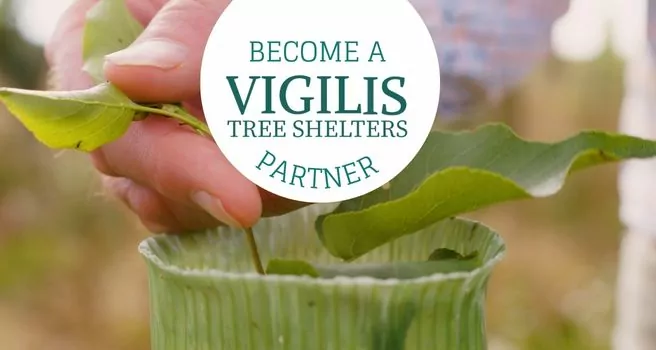 https://cms.vigilistreeshelters.com/app/uploads/2023/04/Become-A-Vigilis-Tree-Shelters-Partner-656-×-350px.jpg