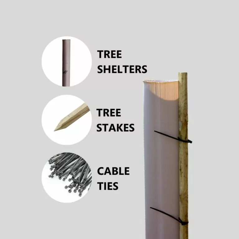 https://cms.vigilistreeshelters.com/app/uploads/2023/05/Potatoes-wood-and-corn-5-768x768.jpg