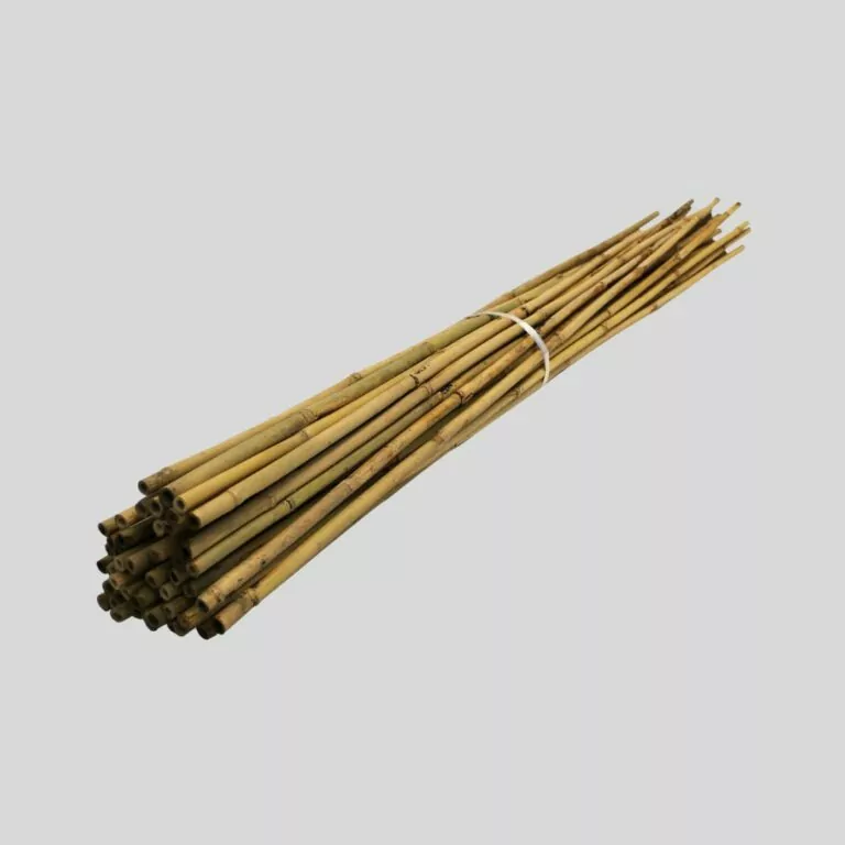 https://cms.vigilistreeshelters.com/app/uploads/2023/05/bamboo-canes-768x768.jpg