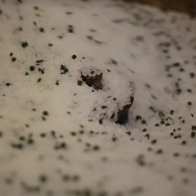 tree shelters polymers being mixed in the factory